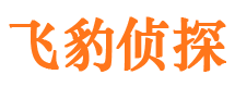 满城市私家侦探